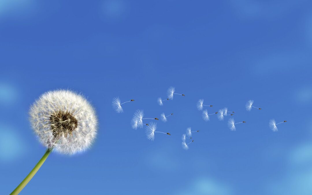 iStock_000011382947_Medium