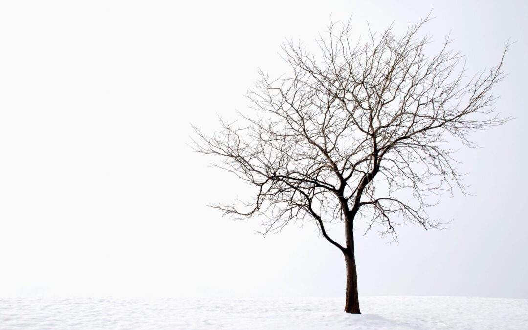 Pause contemplative