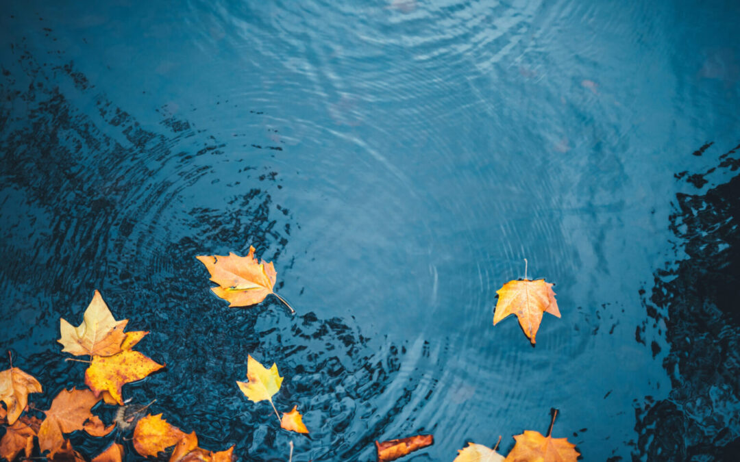 Ralentir et laisser partir