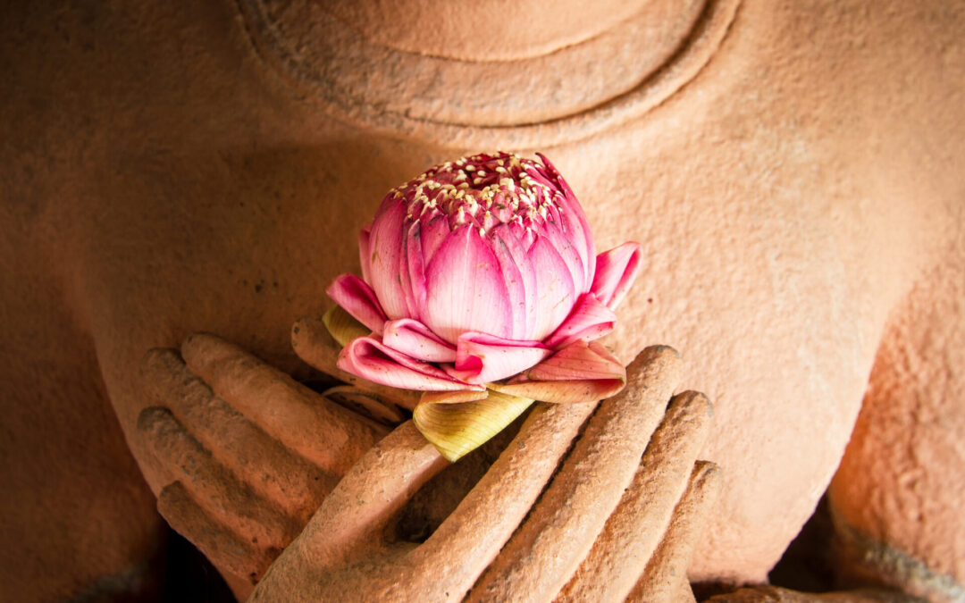 Lotus in the hands of sandstone Buddha.