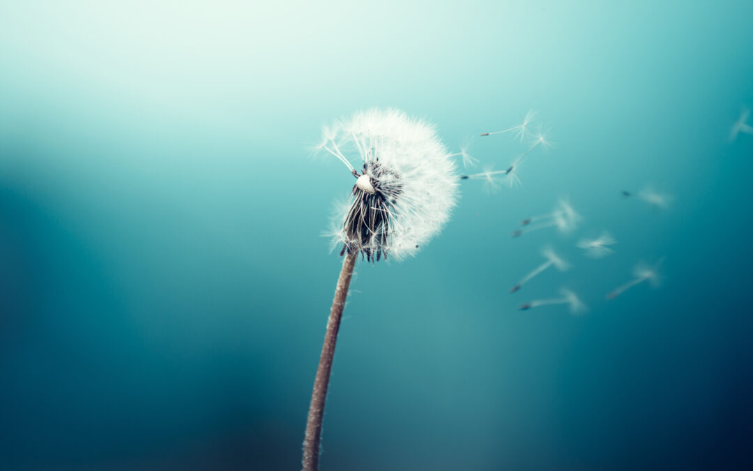 Solidifier notre attention