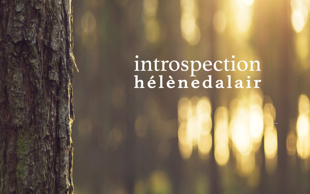 Introspection_couverture