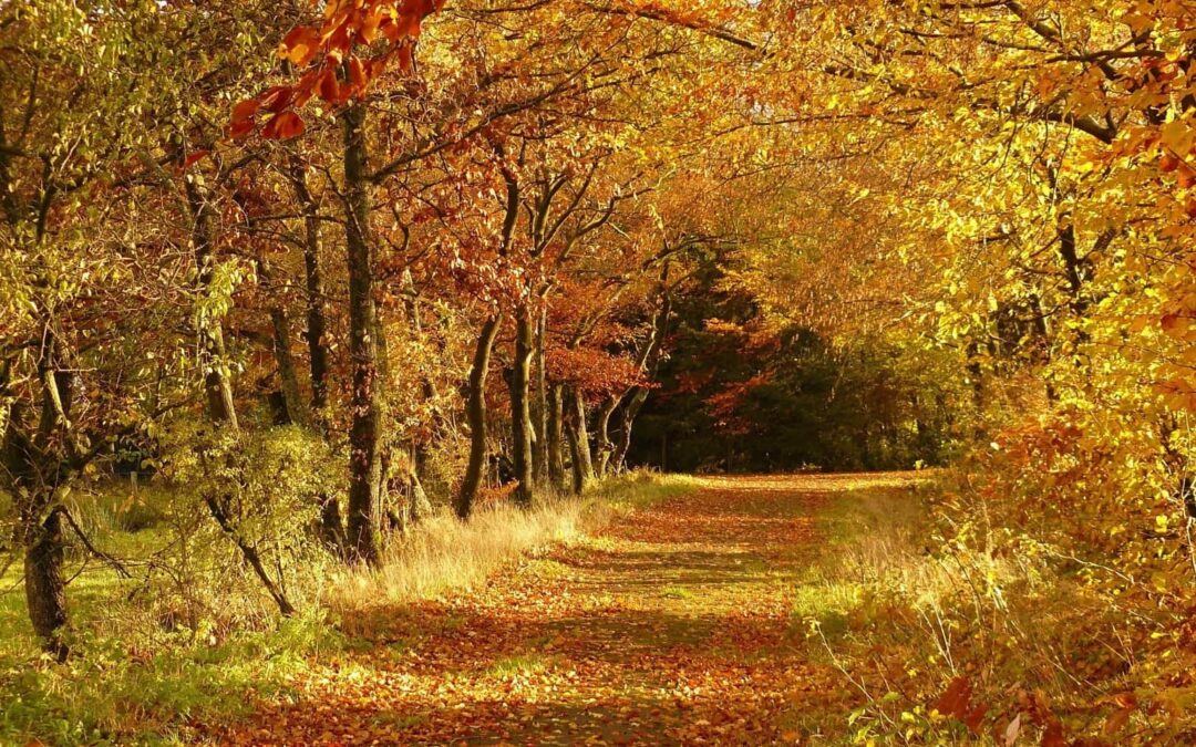 2018-11-21-13-38-27-1536×1152